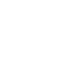 Physio Aktiv